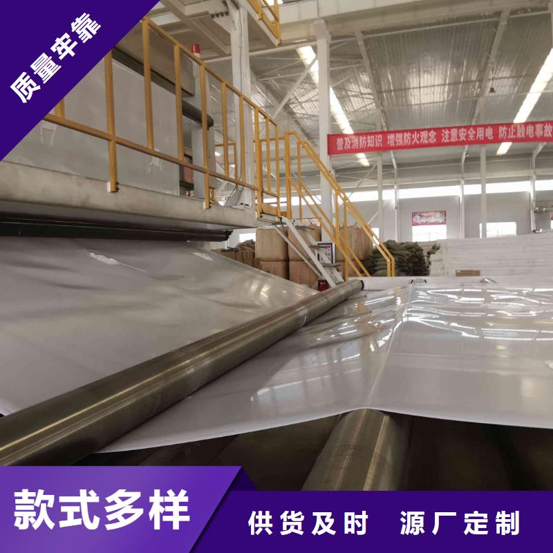 EVA防水板凸结点钢塑土工格栅按需定制真材实料