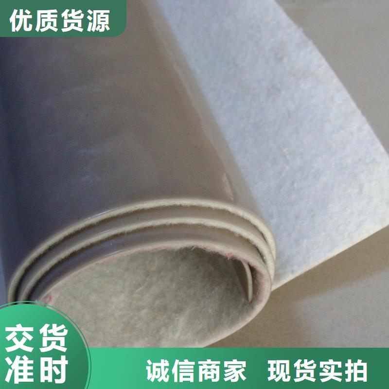 EVA防水板玻璃纤维土工格栅严选材质