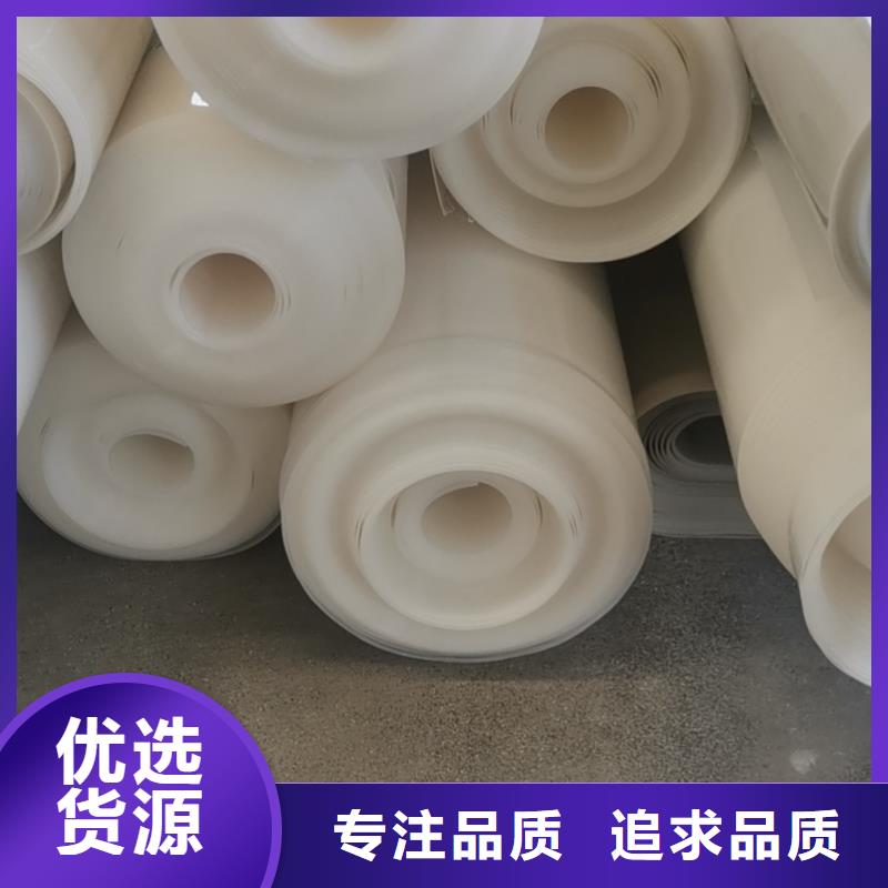 EVA防水板_单向塑料土工格栅追求品质