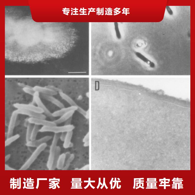 碳源在污水处理中的作用是什么厂家最新报价