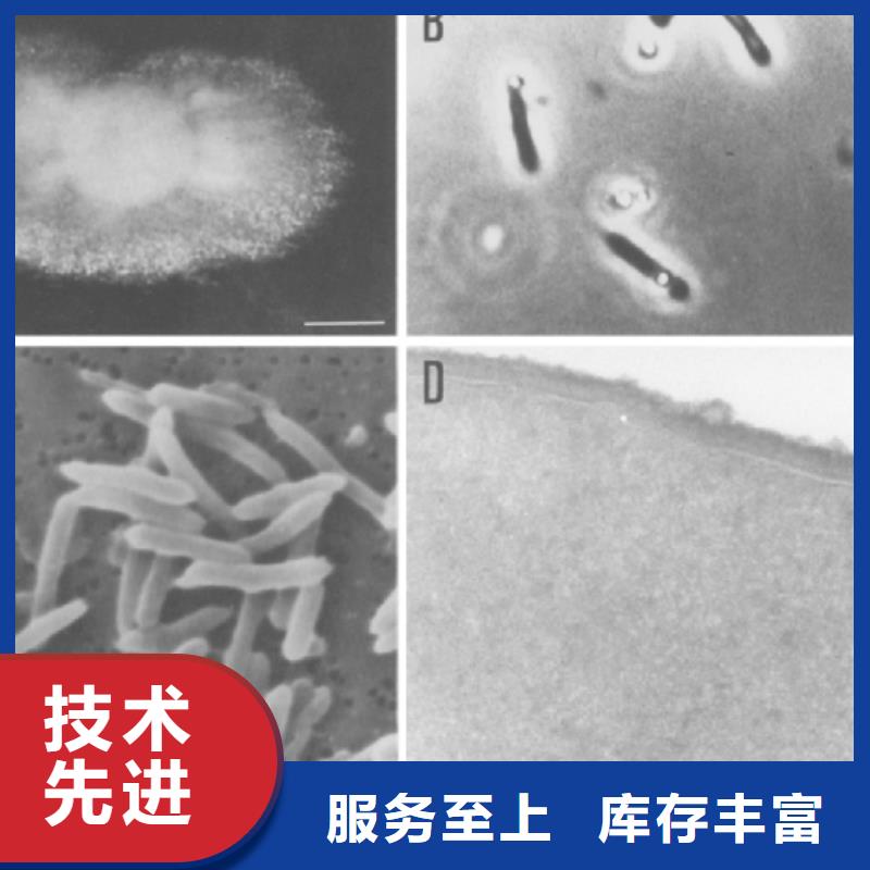 多核复合型碳源厂家一手货源