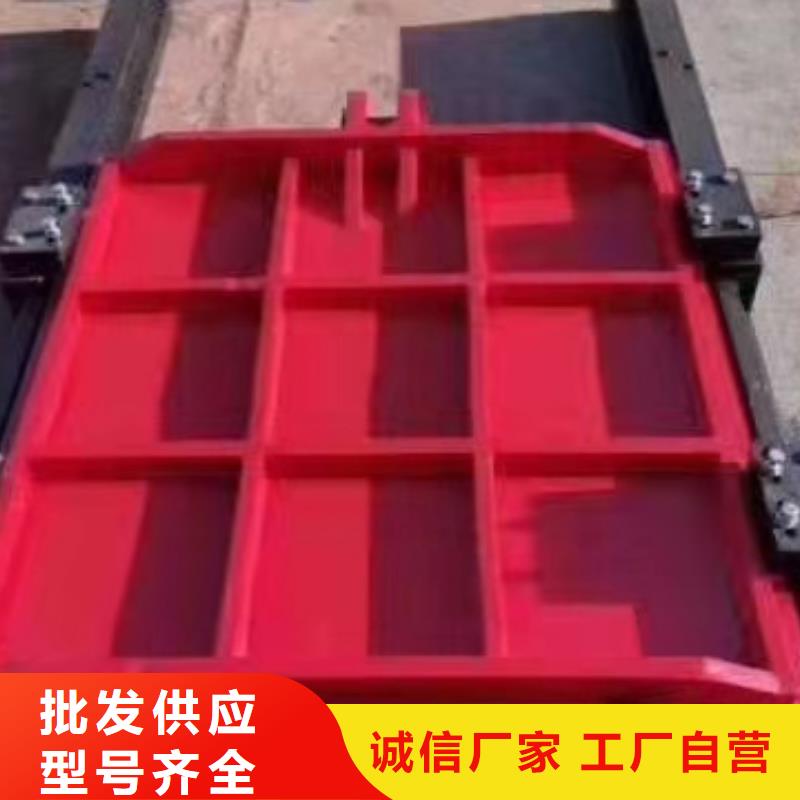铸铁拍门厂家直销