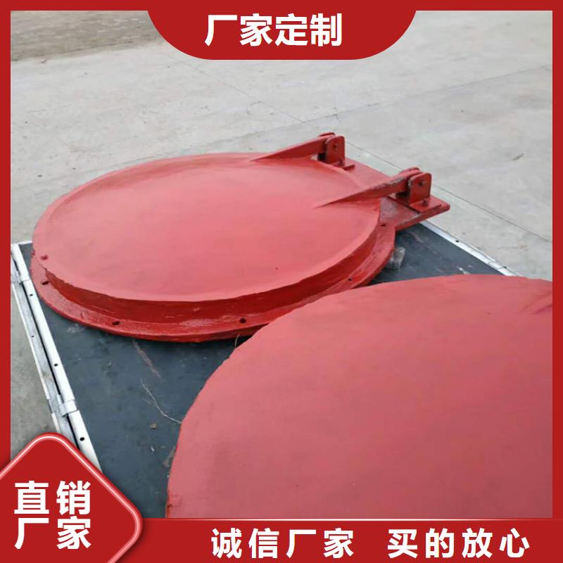 厂家直销双向止水闸门、可定制