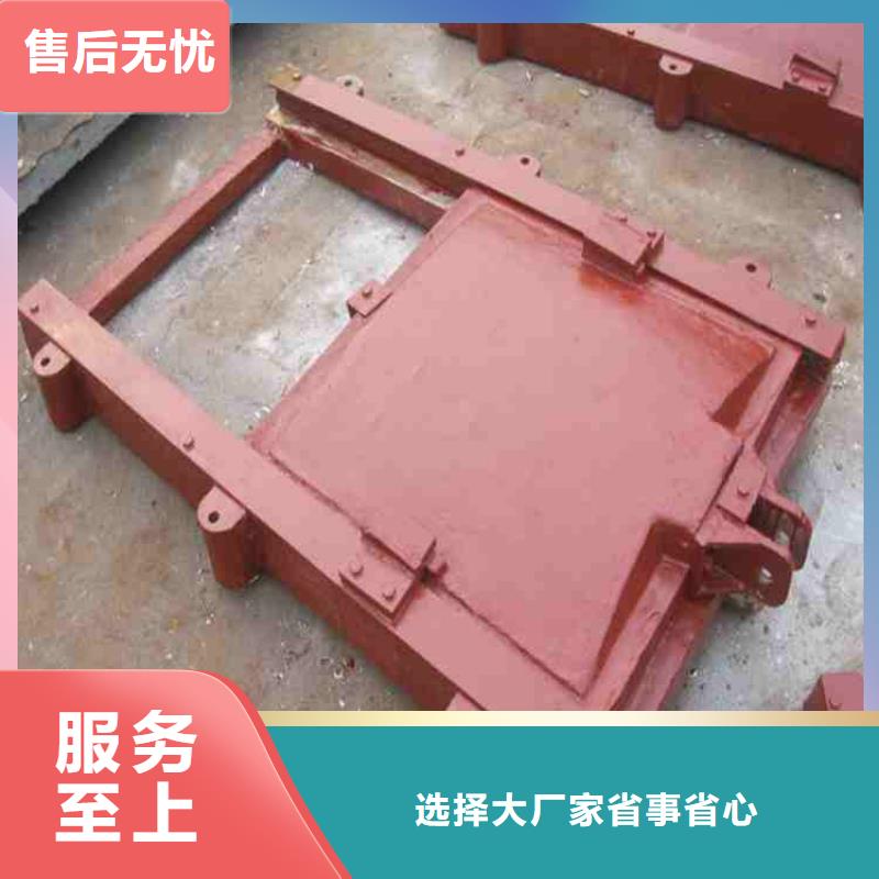 附壁式铸铁闸门服务完善