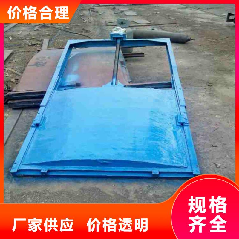 自控翻板钢闸门生产厂家