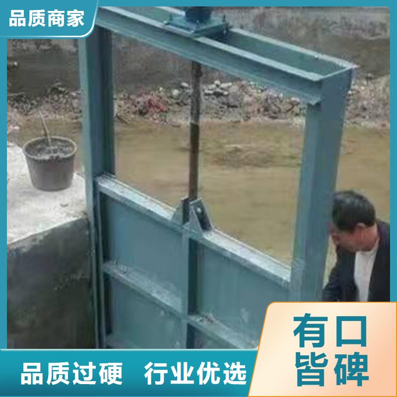 钢闸门用心经营