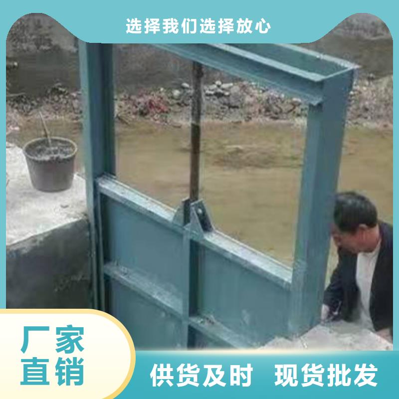 临高县供应钢制闸门品质卓越