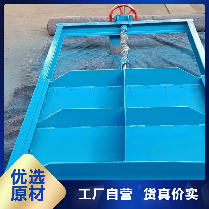 平板钢闸门价格实惠