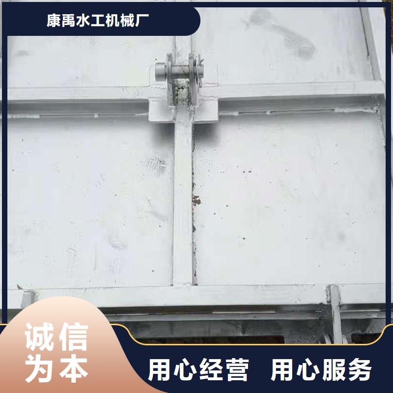 钢制拍门厂家琼海市