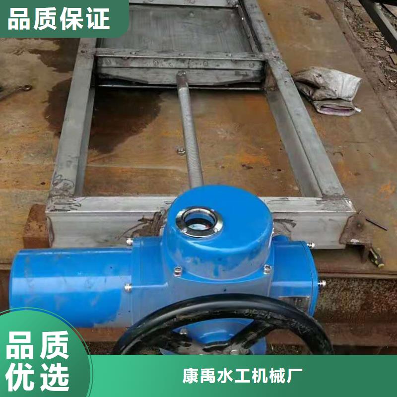 液压闸门批发厂家