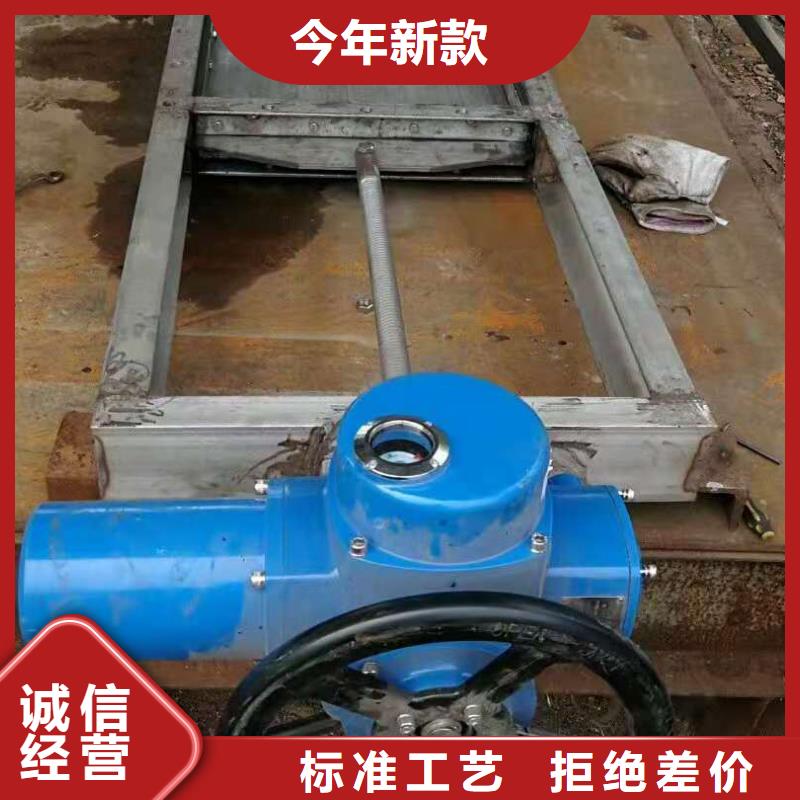 平板钢闸门支持定制