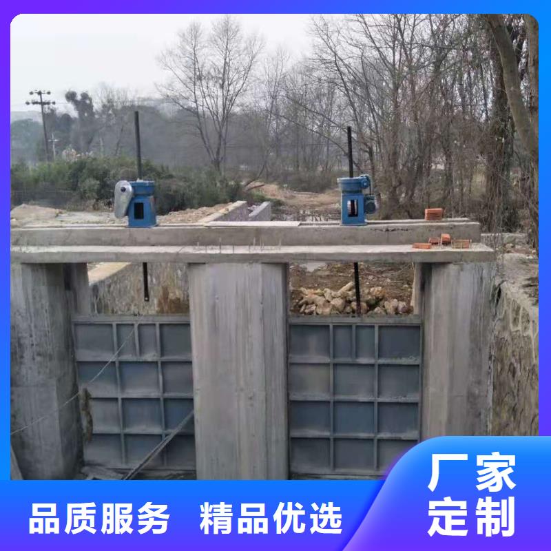 翻板闸门价格实惠