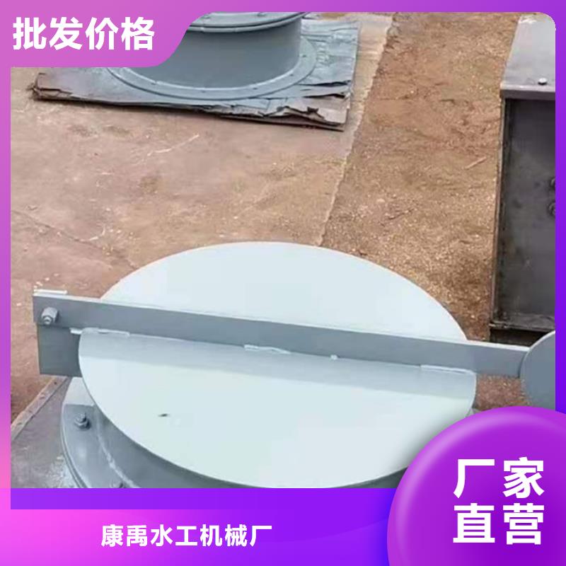 叠梁闸门确定真好!