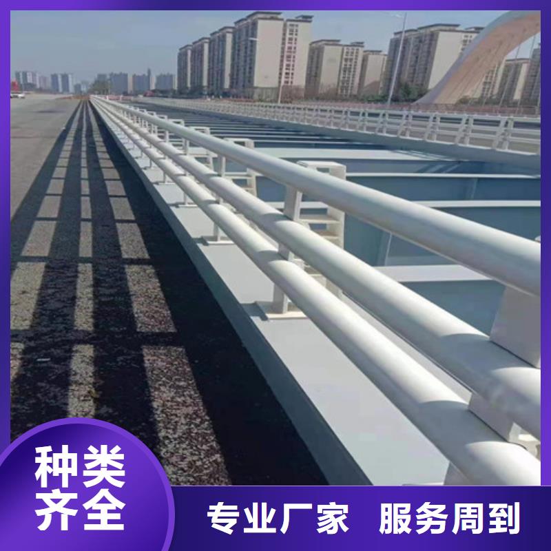 专业生产制造镀锌管喷塑桥梁护栏公司