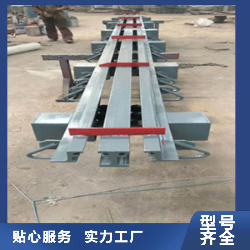 渭城gqf-c型桥梁伸缩缝精选型钢-欢迎致电