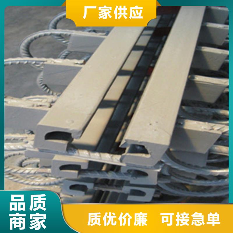桥梁tst伸缩缝规格型号全生产厂家