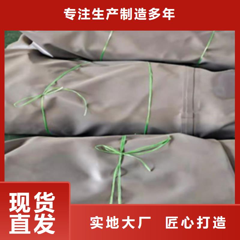 政管道封堵气囊