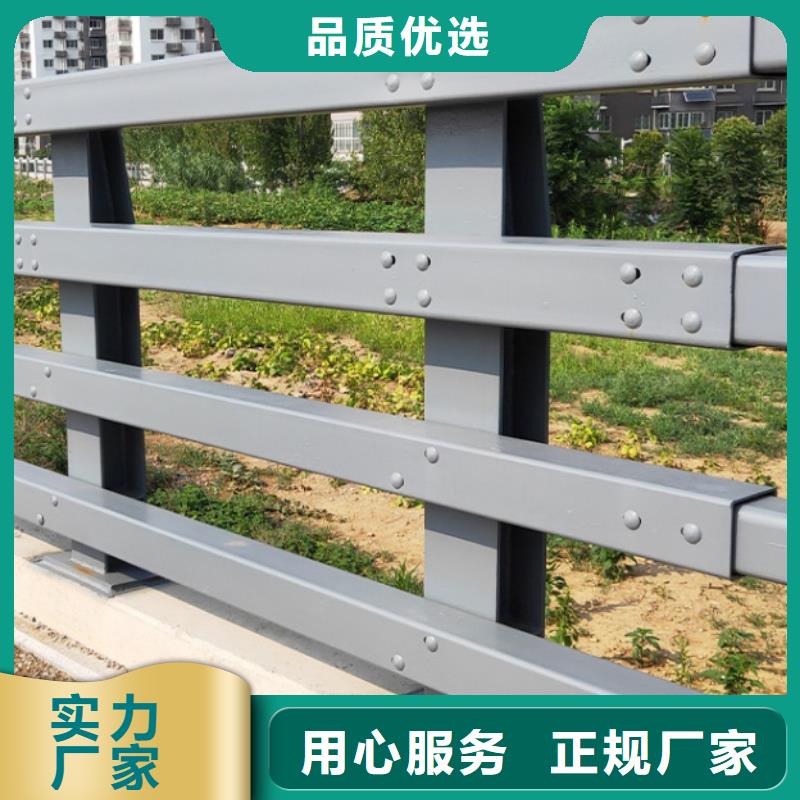 儋州市公路灯光护栏本地正规大厂