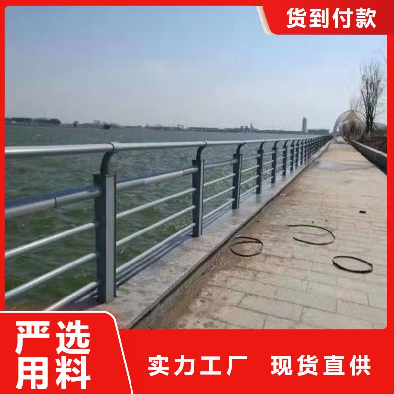 批发不锈钢复合管道路护栏_诚信企业