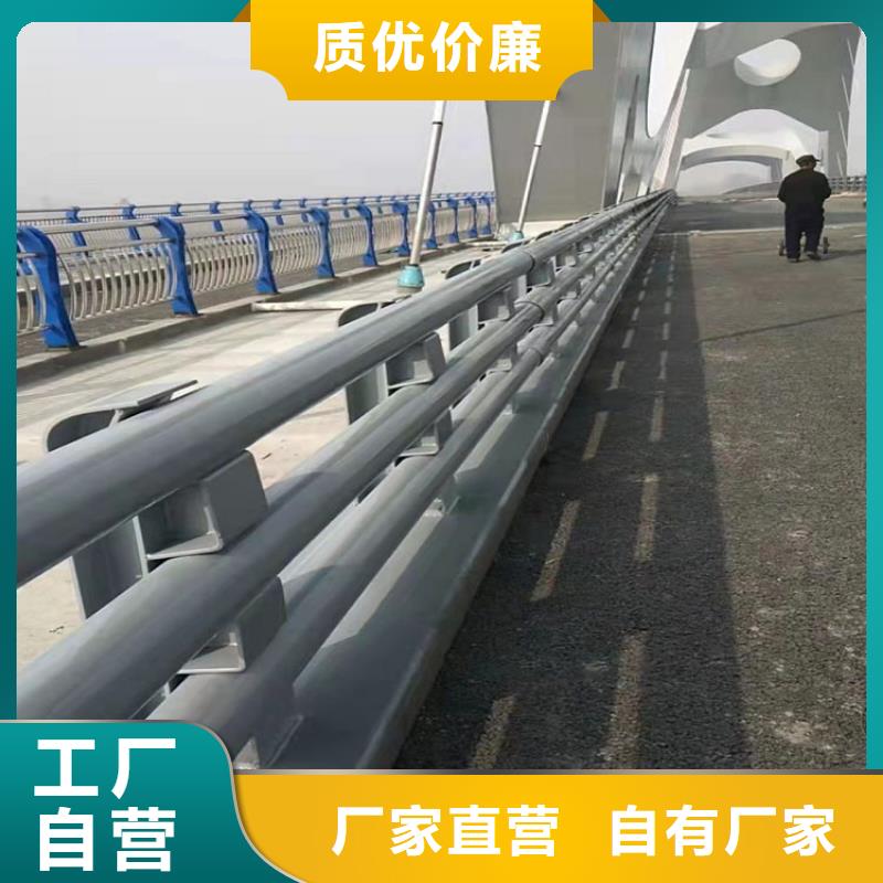 河道护栏实地货源