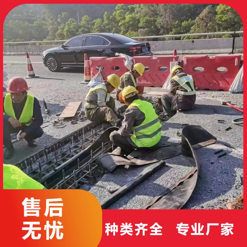 伸缩缝修补料公标/铁标压浆剂料N年专注
