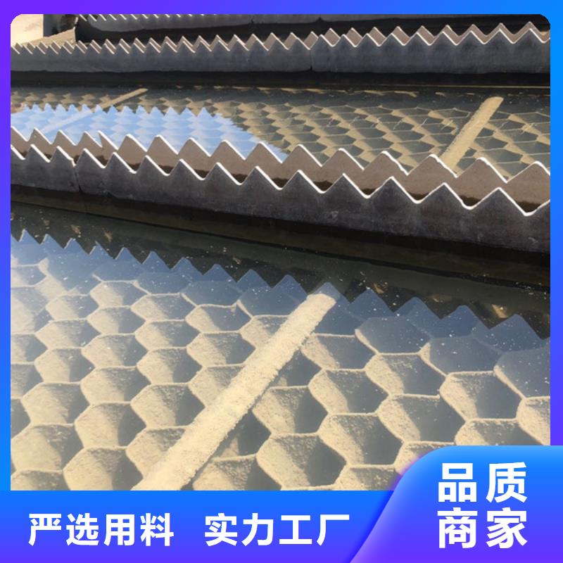 孢子聚焦剂价格便宜