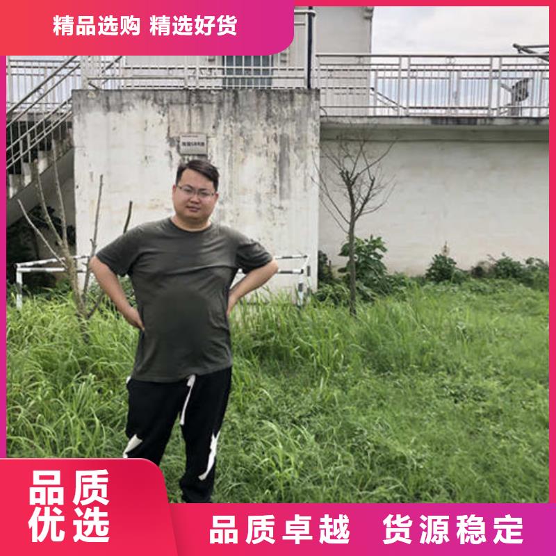 凤岗镇葡萄糖粉