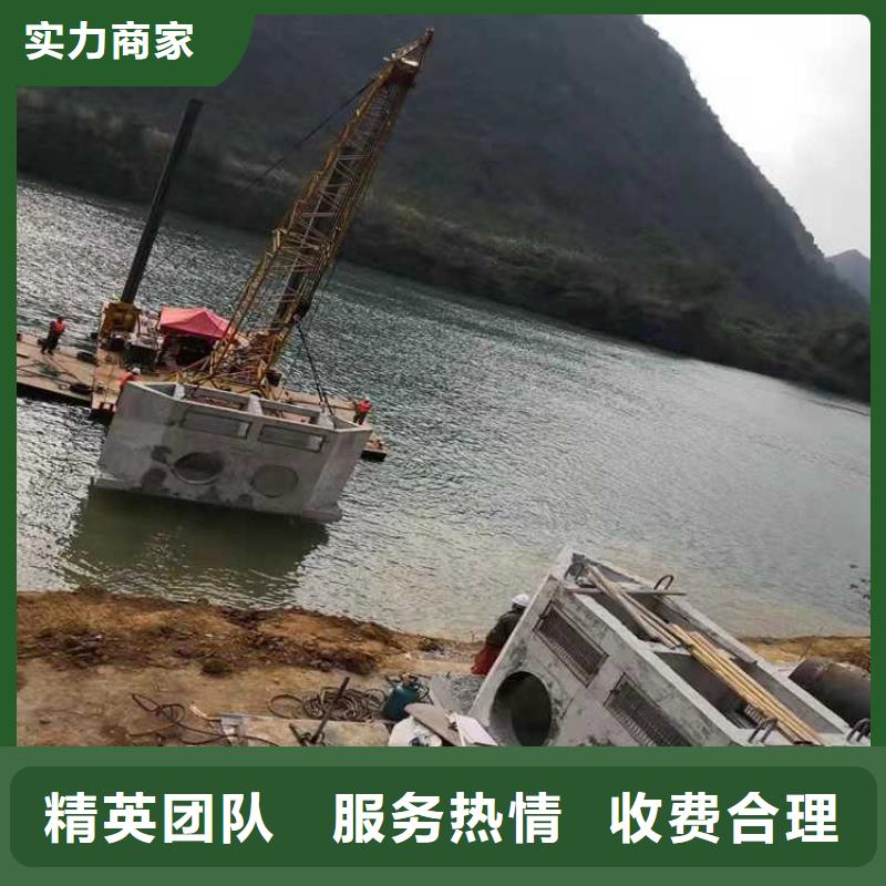 沉管沉井施工服务专业团队