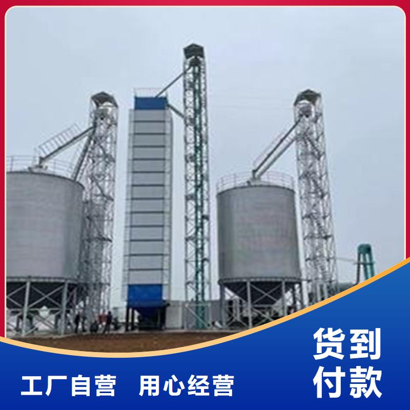 大型立式粮食储存仓厂家-价格低