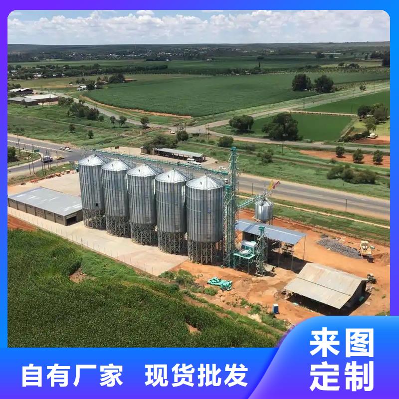 支持定制的立式玉米钢板仓经销商