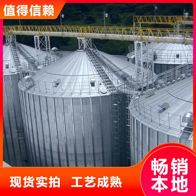 大型立式粮食储存仓厂家-价格低