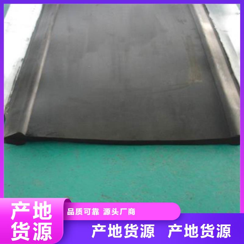 橡胶止水带球型支座源厂直接供货
