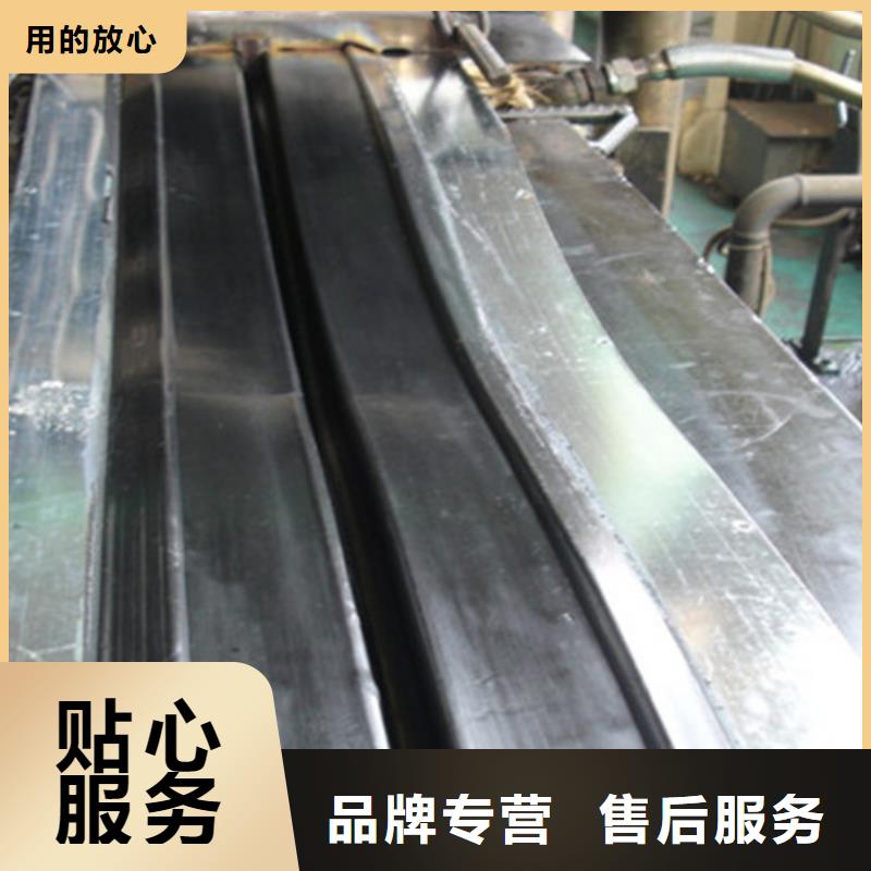 橡胶止水带钢结构支座实力公司