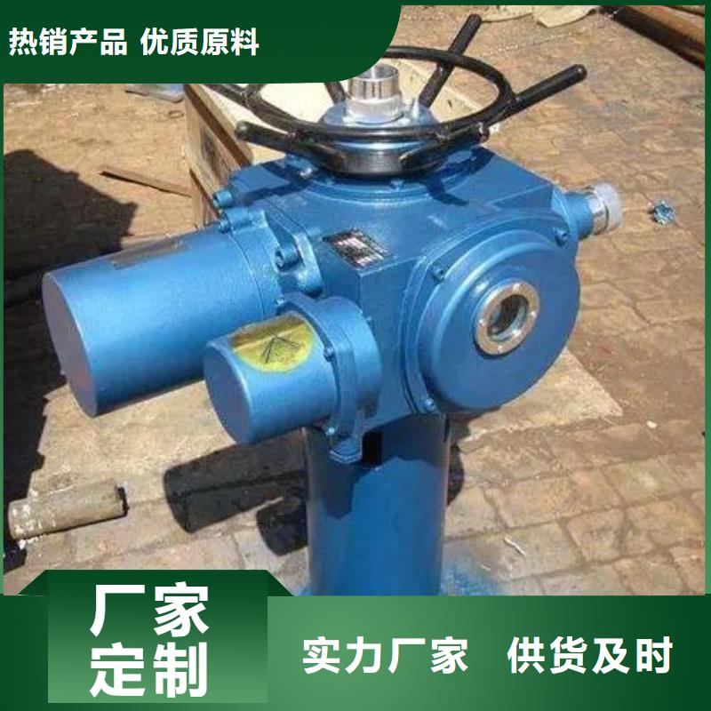 夏县手轮启闭机上门服务