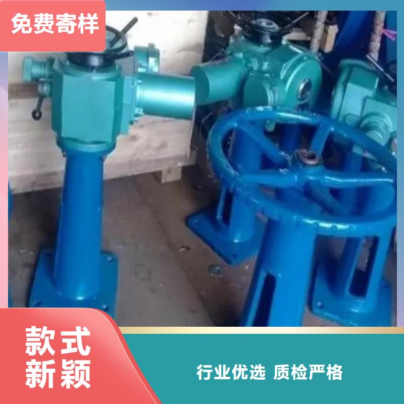20吨启闭机实力雄厚