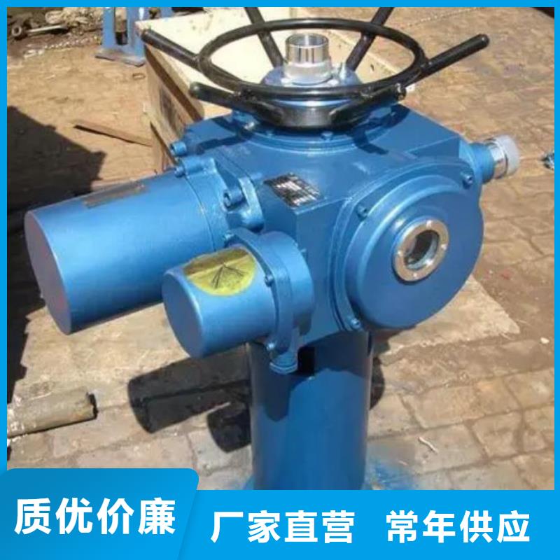 8吨启闭机实力厂家