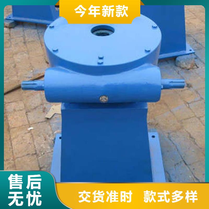 QL螺杆启闭机服务为先