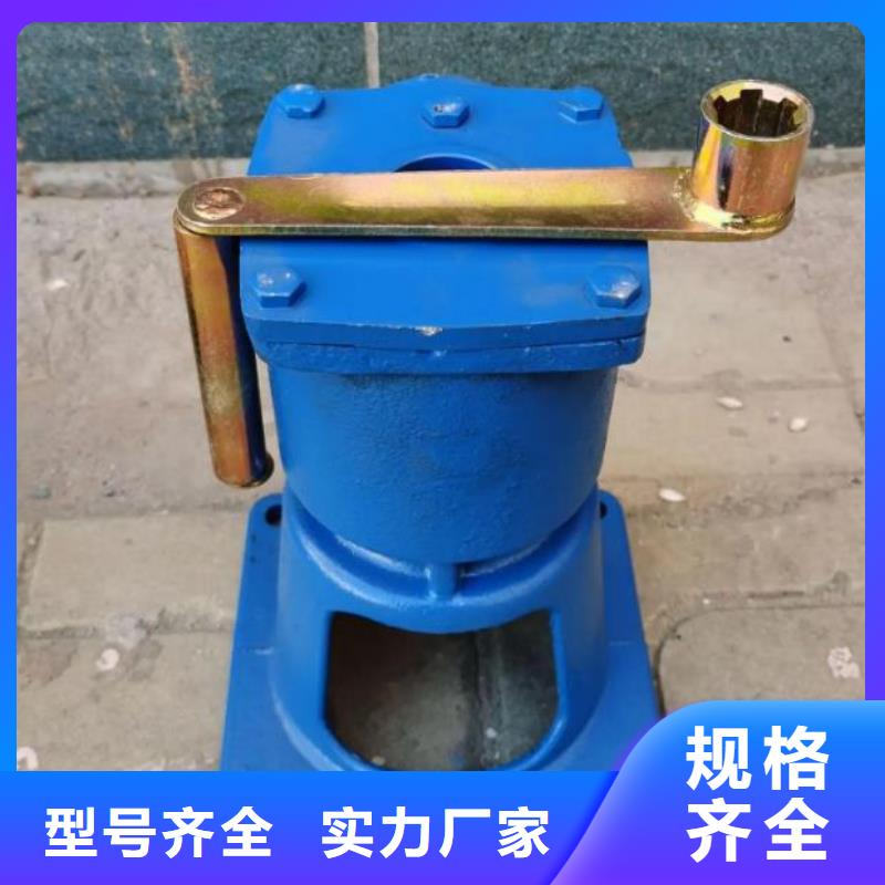 40吨手电两用螺杆式启闭机本地厂家河北扬禹水工机械有限公司