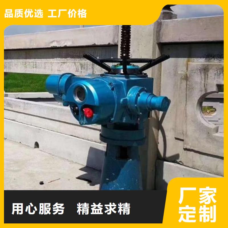 25吨启闭机放心选择