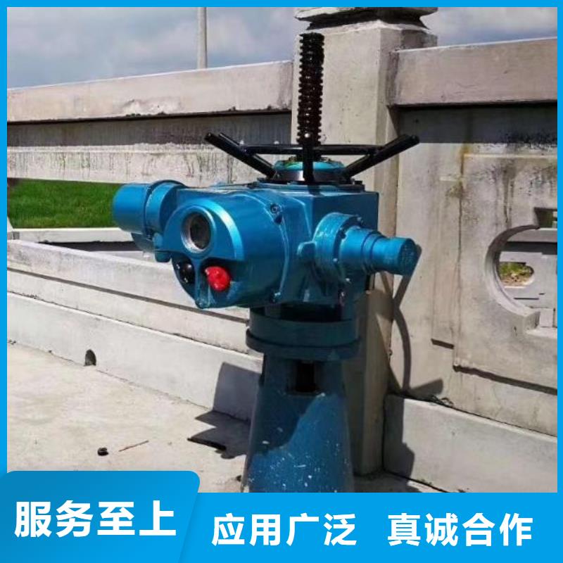 10吨启闭机畅销全国