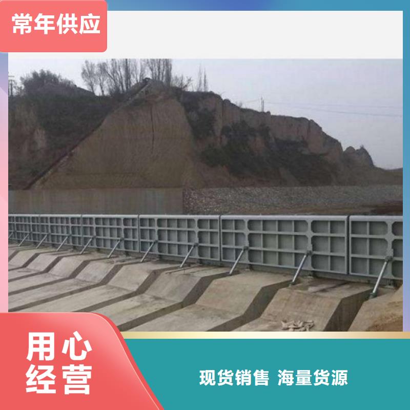 翻板闸门_钢制闸门批发价格