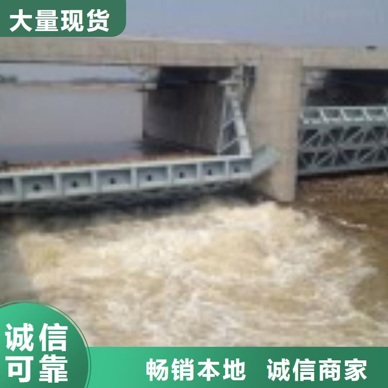 钢制闸门正规厂家