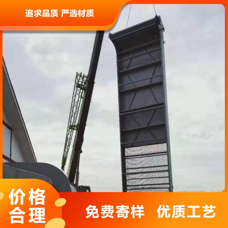 清污机钢制拍门匠心制造