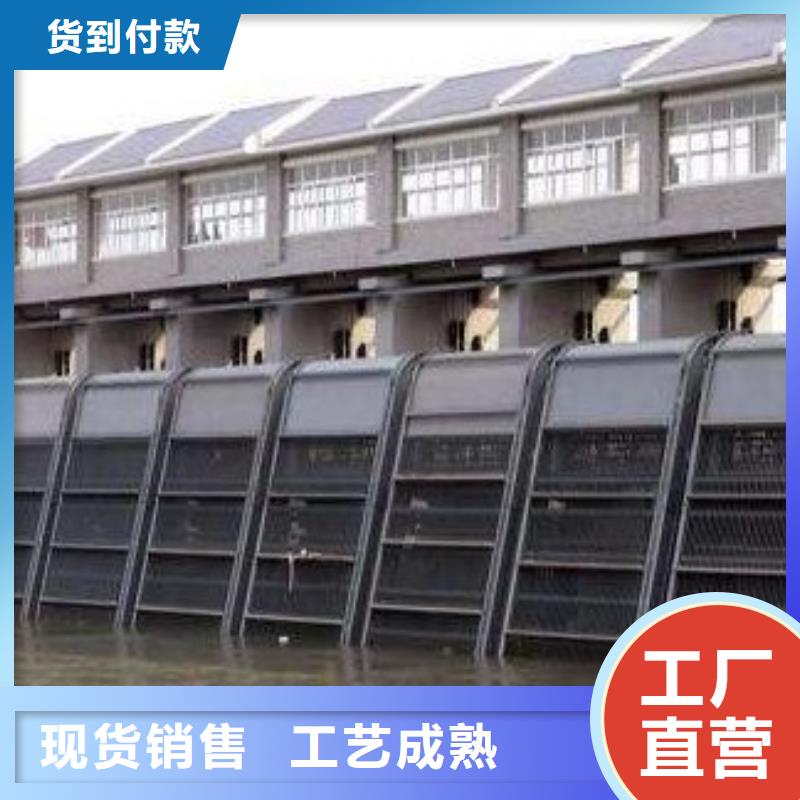 水电站捞渣机正规厂家