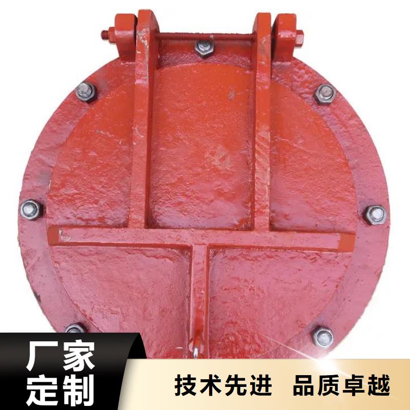 招商街道玻璃钢钢拍门DN800口碑好