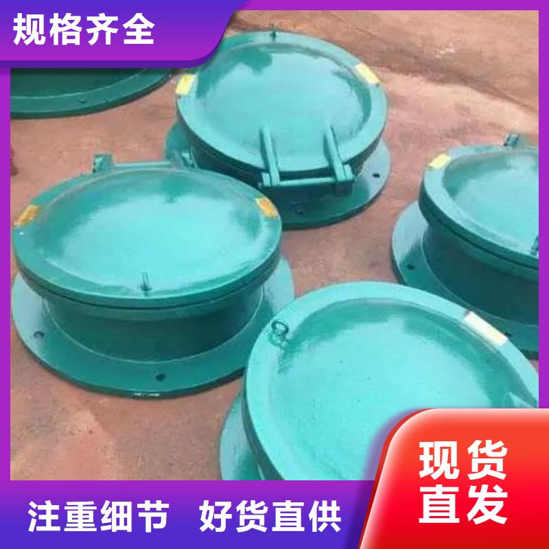 铸铁拍门DN600公司