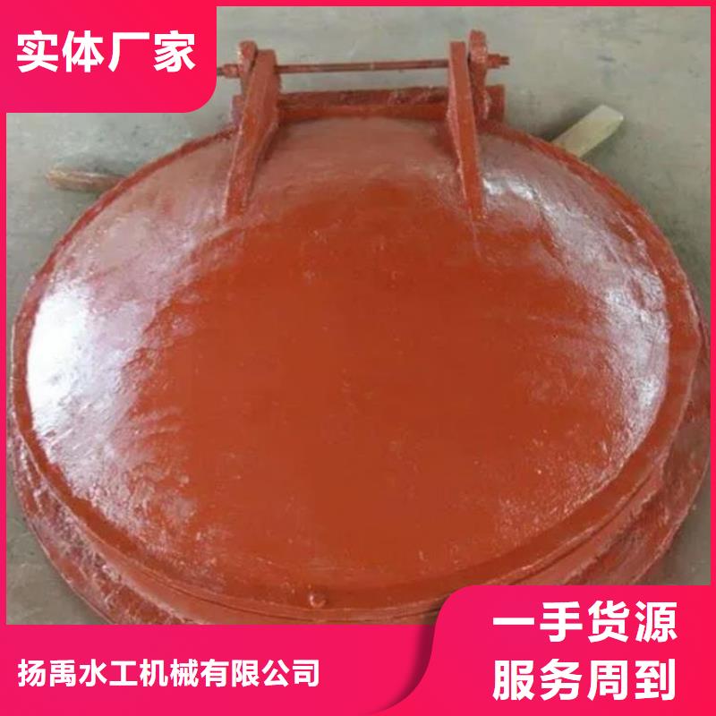 拍门球墨铸铁闸门厂家长期供应