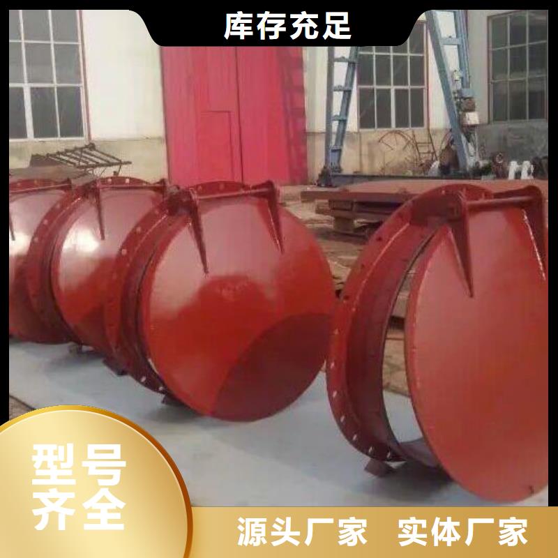 不锈钢拍门DN800信息