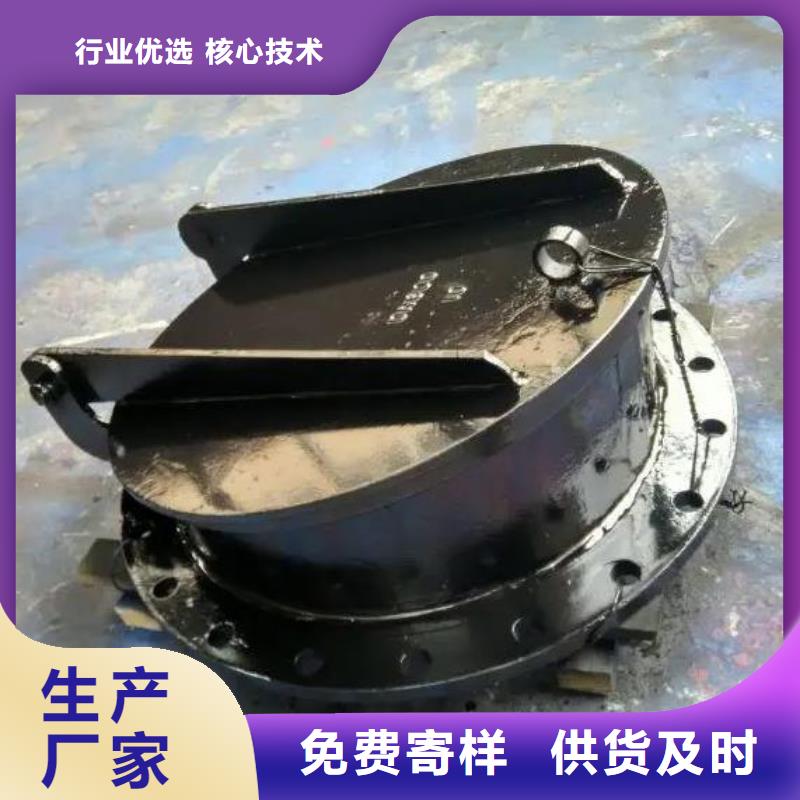 五常玻璃钢钢拍门DN800可定制