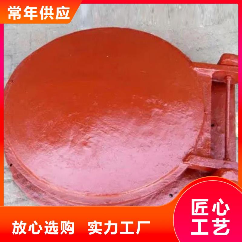 拍门_卷扬启闭机诚信商家